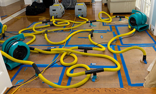 Professional Crawl Space Water Removal technician working in Sharpes, FL