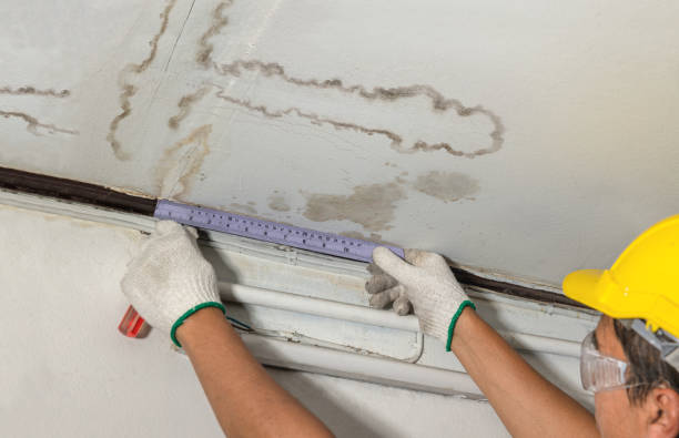 Affordable Water Damage Repair solutions in Sharpes, FL